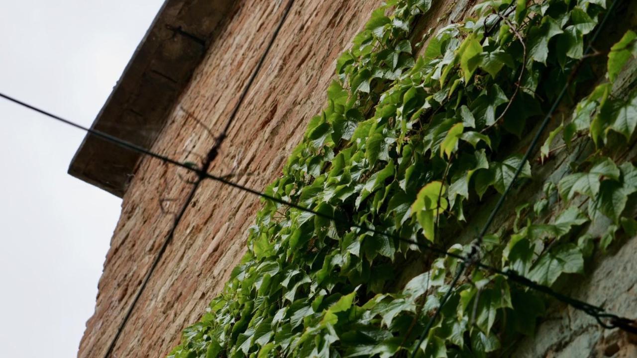 La Casa Di Giulia: Una Pausa In Collina Fubine Zewnętrze zdjęcie
